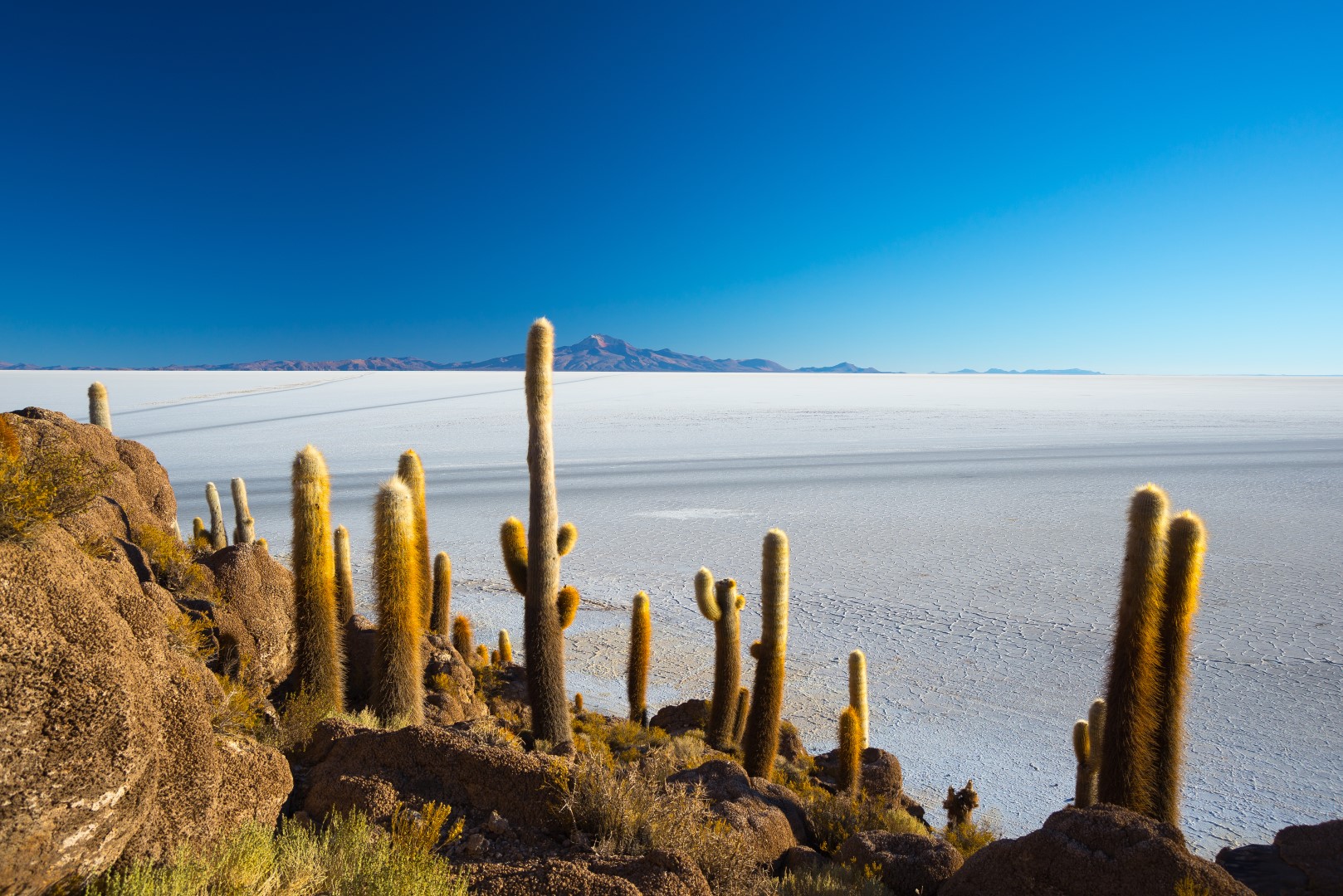 wp-content/uploads/itineraries/Bolivia/Best of Bolivia/day 7 (Large).jpg